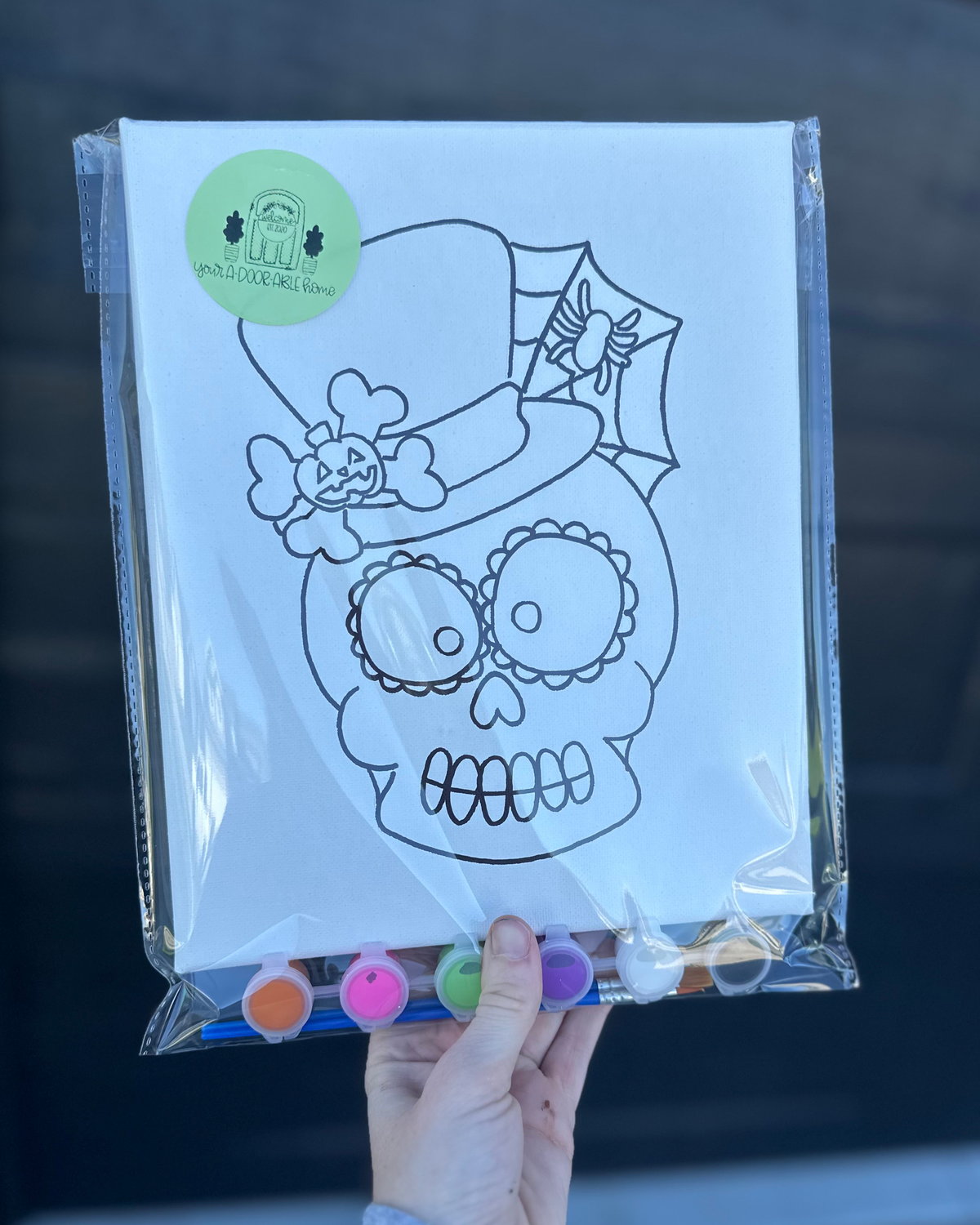 Skull Paint Kit
