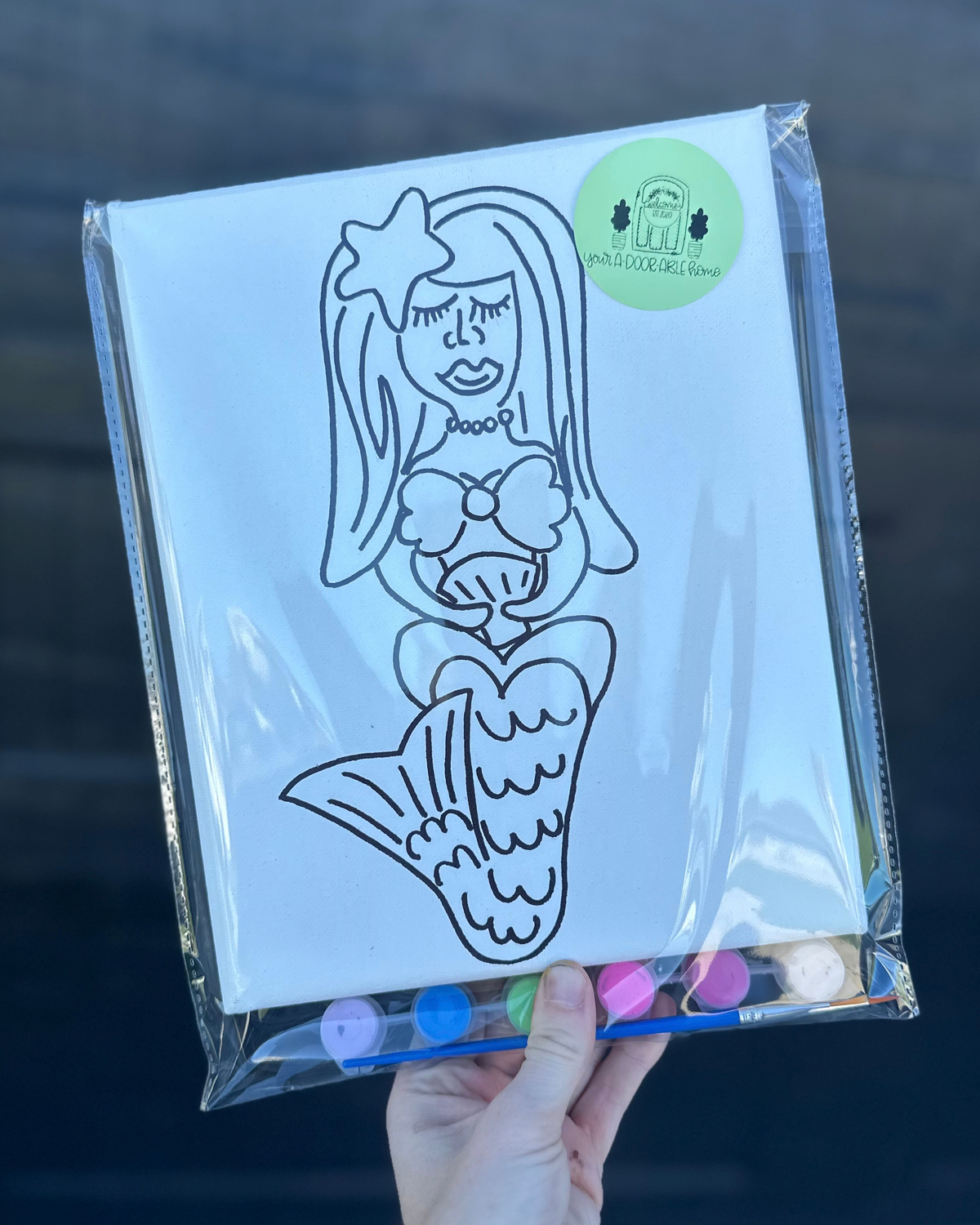 Mermaid Paint Kit